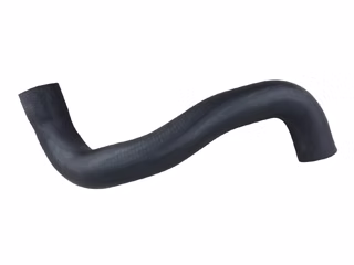 GTP2537