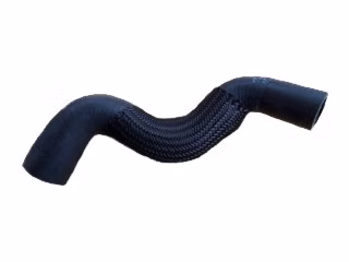 GTP1703